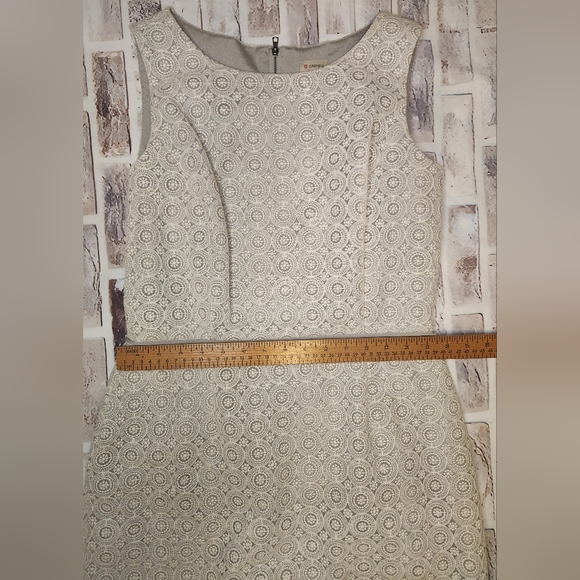 Cremieux Beige Gray Lace Overlay Sleeveless Sheath Dress Size 8 (D3) - Picture 8 of 8